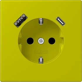 Jung Serie LS SCHUKO-Steckdose mit USB-Ladegerät Safety+, vert olive vif