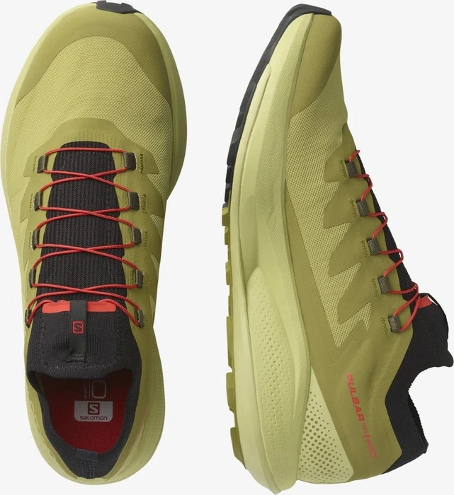 Salomon Pulsar Trail Pro leek green/green moss/black (Herren)