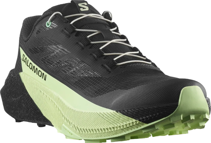 Salomon Pulsar black/patina green (Herren)