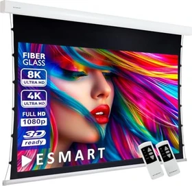 eSmart Haiser Pro Tension Leinwand Tatenso 295x165cm