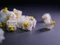 Cherry MX2A RGB Honey Switch, 36er-Pack Vorschaubild