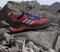adidas Terrex AX4 GTX pure ruby/grey one/semi lucid blue (Herren) Vorschaubild