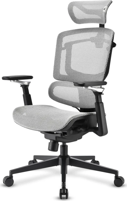 Sharkoon OfficePal C50M Bürostuhl, grau
