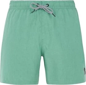 Protest Davey Badeshorts frosty green (Herren)