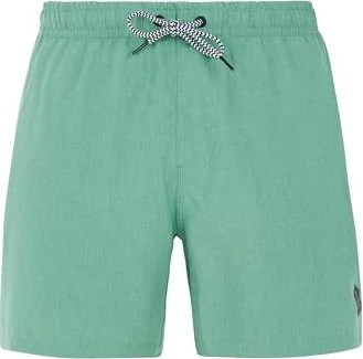 Protest Davey Badeshorts (Herren)