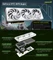 Manli GeForce RTX 4070 SUPER Polar Fox V2, 12GB GDDR6X, HDMI, 3x DP Vorschaubild