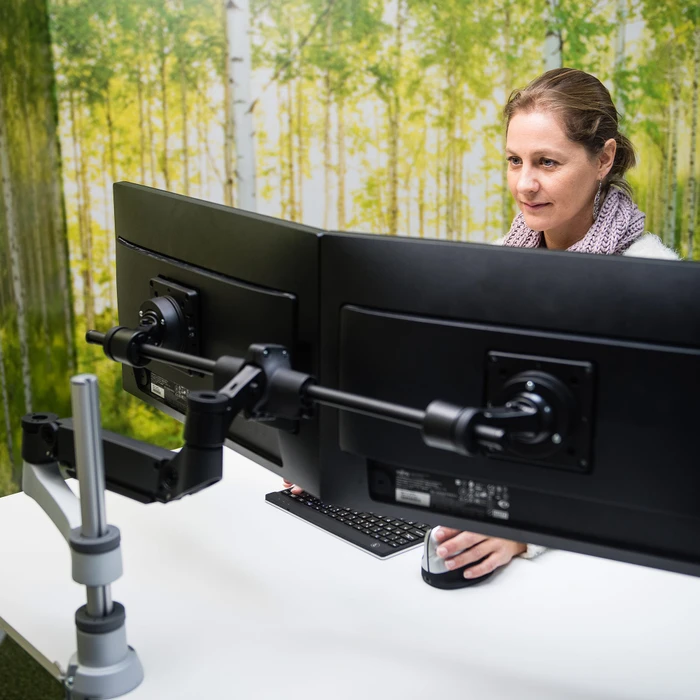 R-Go Caparo 4 D2 Traverse Doppel Monitor Arm