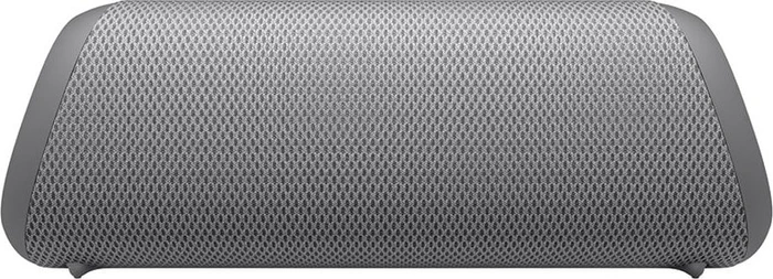 LG XBoom Go DXGQ7 grau