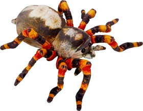 Coppenrath Nature Zoom Wild - Spinne 37cm