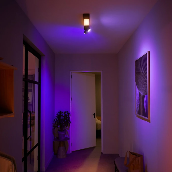 Philips Hue White and Color Ambiance Centris 2 Spot 3-flammig schwarz