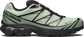 Salomon XT-6 GTX sea foam/green milieu/black