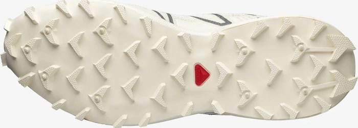 Salomon Speedcross 3 Mindful vanilla ice/quiet shade