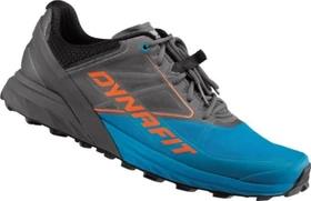 Dynafit Alpine magnet/frost (Herren)