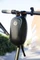 Ninebot by Segway Front New Tasche Vorschaubild
