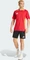 adidas Tiro 24 Competition Trainingshose kurz black/app solar red (Herren) Vorschaubild