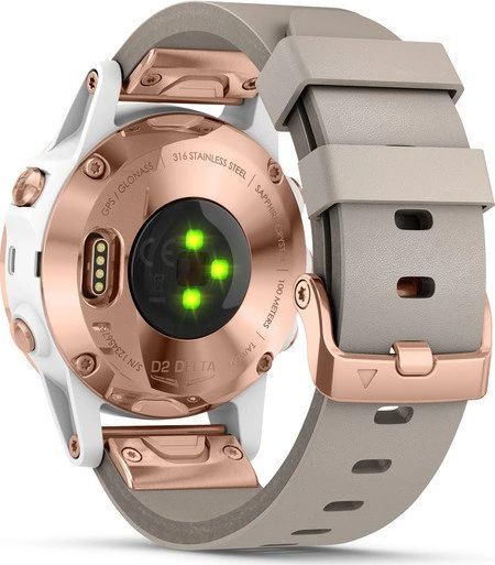 Garmin D2 Delta S
