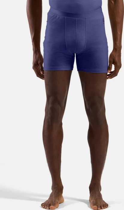 Odlo Natural Merino 160 Boxer Briefs skipper blue (Herren)