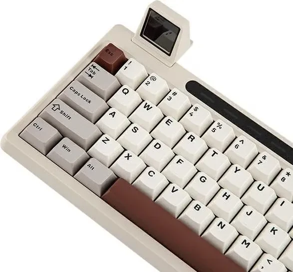 Epomaker RT65 Wireless, Gray White, LEDs RGB, hot-swap, Epomaker Flamingo, USB/Bluetooth, US
