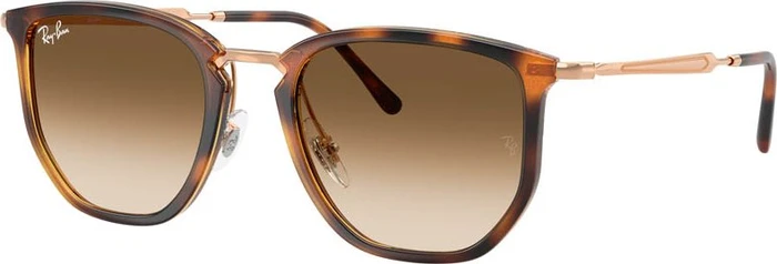 Ray-Ban RB4451