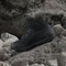adidas Terrex Skychaser Tech Mid GTX core black/grey one/grey five Vorschaubild
