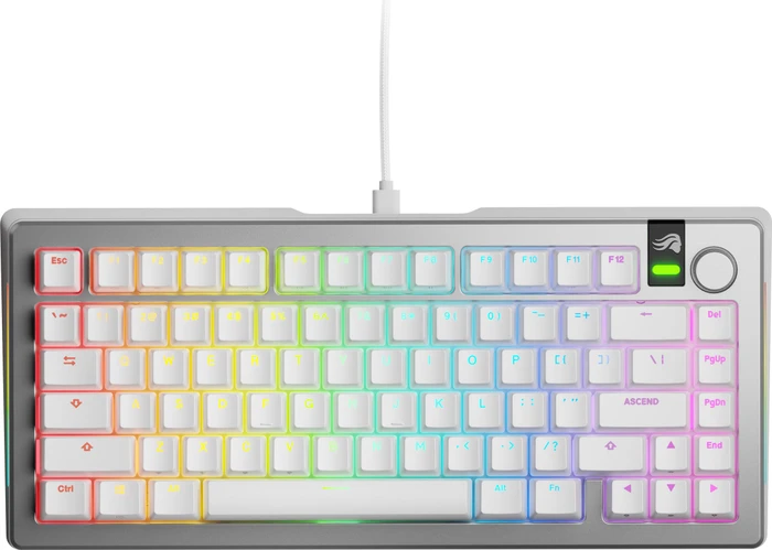 Glorious GMMK 3 Pro 75% Pre-built Gaming Keyboard, silber, LEDs RGB, Glorious Fox MX, USB, US