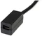 StarTech DP2MDPMF6IN, DisplayPort/Mini DisplayPort Adapter Vorschaubild