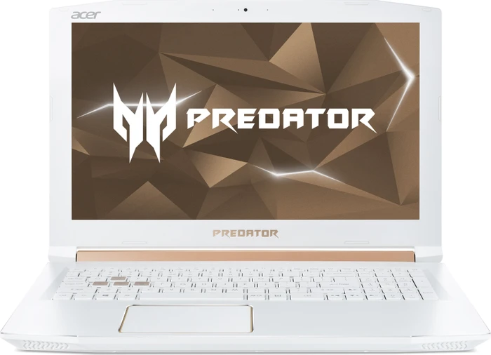 Acer Predator Helios 300 PH315-51-76RQ, weiß, Core i7-8750H, 16GB RAM, 256GB SSD, 1TB HDD, GeForce GTX 1060, DE