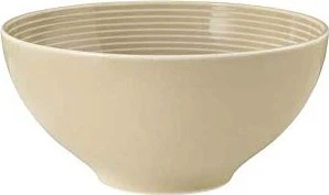 Seltmann Weiden Beat Color Glaze Schüssel 15.5cm