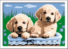 Ravensburger Malen nach Zahlen Süße Hundewelpen
