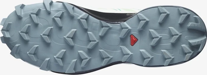 Salomon Speedcross 5 GTX patina green/stormy weather/peacock green (Damen)