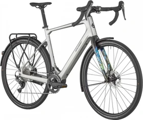 Bergamont E-Grandurance RD Expert shiny flake silver Modell 2024