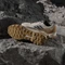 adidas Terrex AX4 wonder beige/carbon/pure ruby (Herren) Vorschaubild