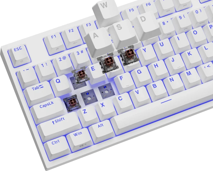 Genesis Thor 404 TKL, weiß, LEDs RGB, hot-swap, Kailh Box V2 BROWN, USB, US