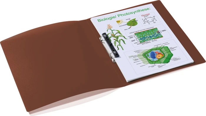 Herma Ringbuch 2-Ring, 25mm, A4, braun/transparent