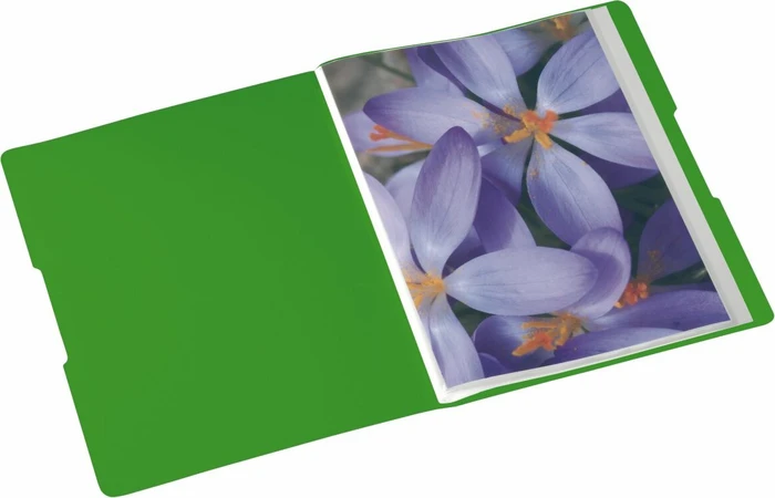 Herlitz easy orga to go Sichtbuch, A4, apfel, inkl. 20 Klarsichthüllen
