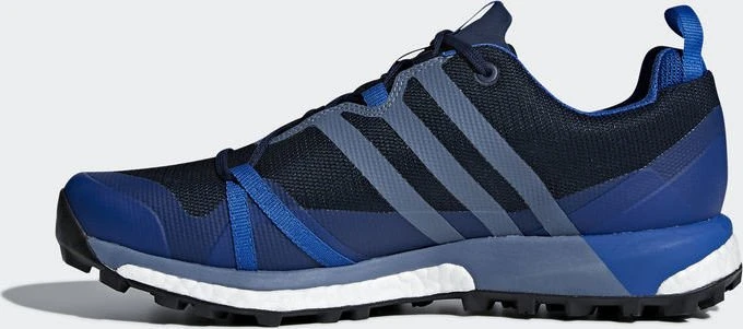 adidas Terrex Agravic GTX collegiate navy/raw steel/blue beauty (Herren)