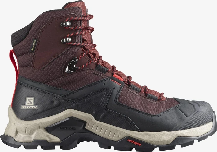 Salomon Quest Element GTX (Herren)