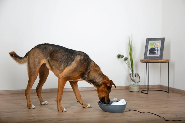 Kerbl Trinkbrunnen Classic Pet Fountain, 1.75l, weiß/grau