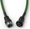 Glorious Coiled Cable USB-C auf USB-A, Tastaturkabel (Spiral-Textilkabel), 1.37m, Forest Green Vorschaubild