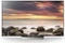 Sony KD-55XD8505 Vorschaubild