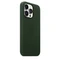 Apple Leder Case mit MagSafe für iPhone 13 Pro schwarzgrün Vorschaubild