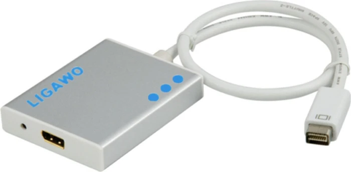 Ligawo Mini DVI/DisplayPort 1.1 Adapter