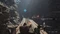 Final Fantasy VII Rebirth (PS5) Vorschaubild
