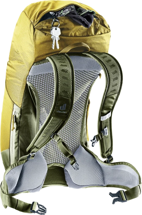Deuter AC Lite 24 turmeric/khaki