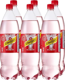 Schweppes Russian Wild Berry 6x 1.25l