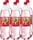 Schweppes Russian Wild Berry 6x 1.25l
