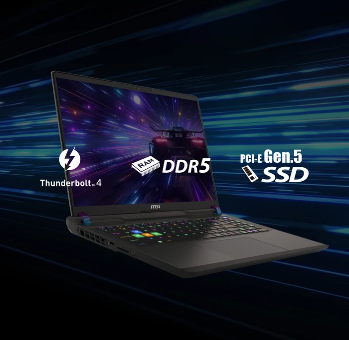 MSI Vector 16 HX A14VIG-826, Cosmos Gray, Core i9-14900HX, 32GB RAM, 1TB SSD, GeForce RTX 4090, DE