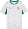 Puma FIFA WM 2026 Senegal Heimtrikot kurzarm puma white/wild green (Junior) Vorschaubild