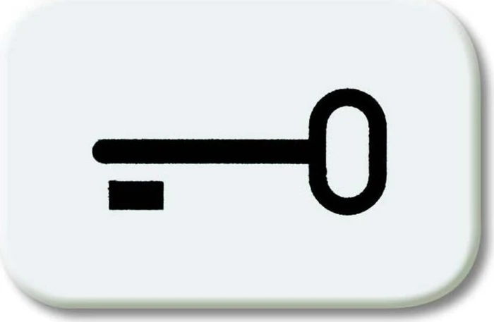 Busch-Jaeger Busch-balance SI Tastersymbol Schlüssel