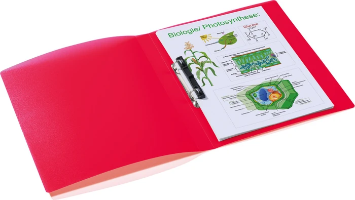 Herma Ringbuch 2-Ring, 25mm, A4, rot/transparent, 3er-Pack